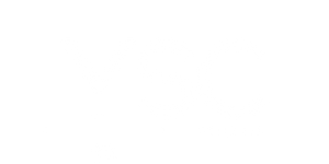 YSC Trade